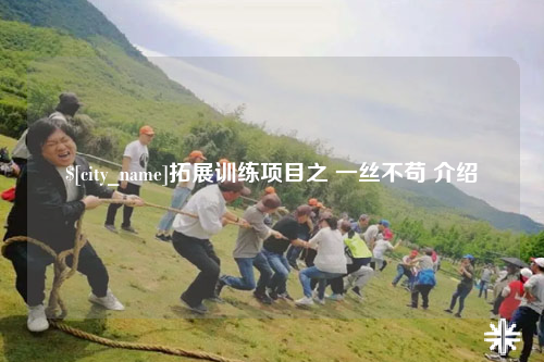 固原拓展训练项目之 一丝不苟 介绍